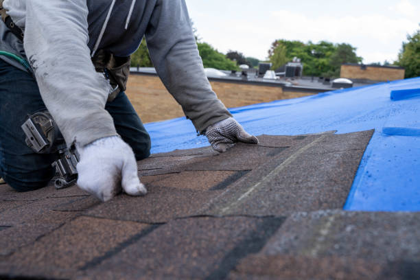 Best Flat Roof Repair Services  in Donna, TX