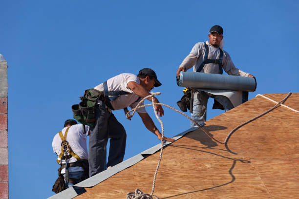 Best Emergency Roof Repair  in Donna, TX
