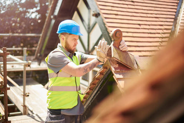 Roof Gutter Cleaning in Donna, TX